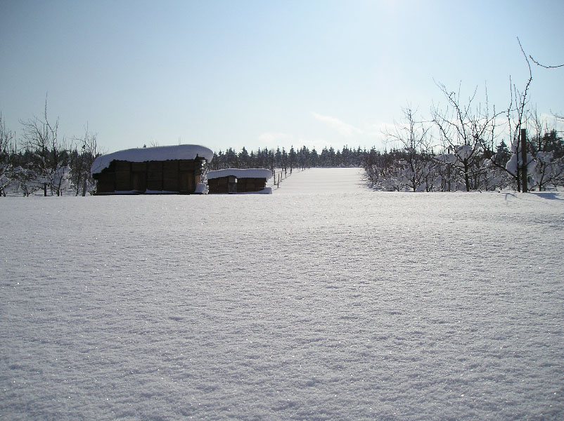 bio_obst_garten_00007