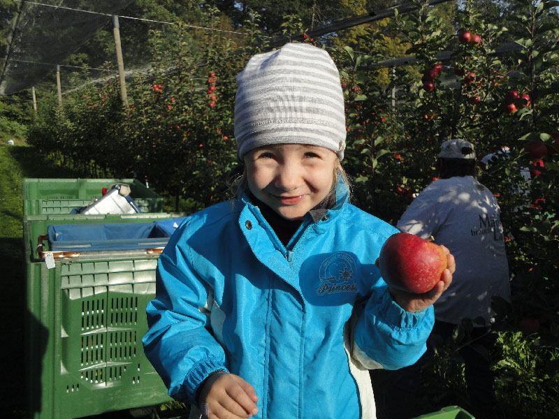 bio_obst_garten_00039