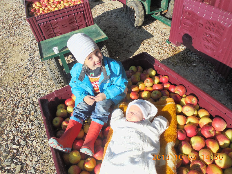 bio_obst_garten_00041