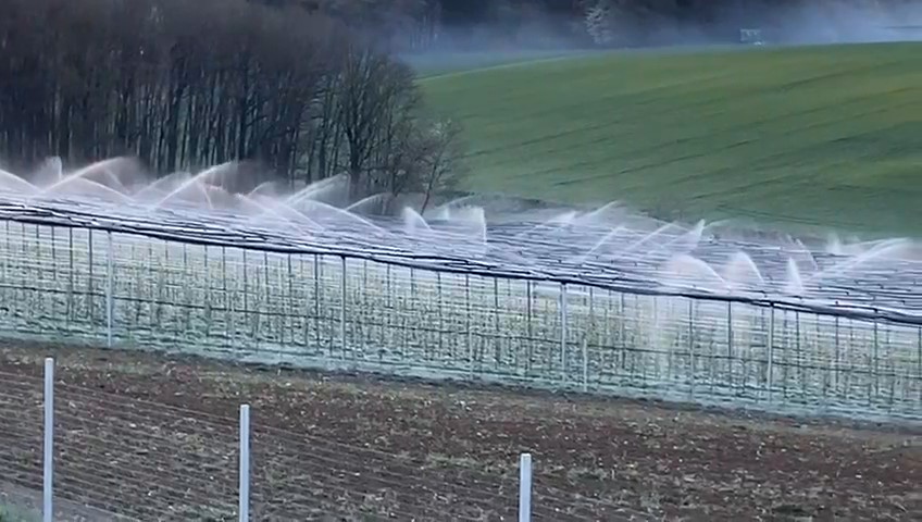 vid-20200415-wa0001_moment-3